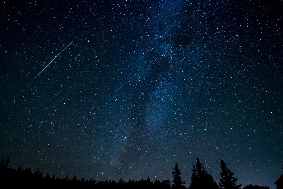 naturalesa, cel, nit, fosc, astronomia, cometa, constel · lació, cosmos, exploració, galàxia, meteorit, Via Làctea, cel nocturn, escènic, estrella fugaç, silueta, estrellat, cel estrellat, estrelles, estrella - espai, espai, escenics - natura, bellesa a la natura, estrella, camp estel·lar, tranquil·litat, escena tranquil·la, vista d’angle baix, arbre, cap gent, infinit, espai i astronomia, 2K