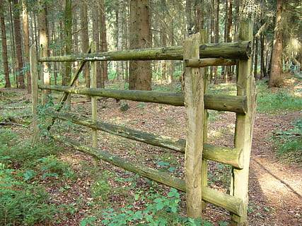 Gol, hora, paso, entrada, portal, obstruido, barrera, material de madera, bosque, al aire libre, nadie, día, planta, tierra, árbol, tranquilidad, naturaleza, cerca, límite, campo, escena tranquila, crecimiento, bambú, color verde, belleza en la naturaleza, madera, planta de bambú, 2K, CC0, dominio público, libre de derechos