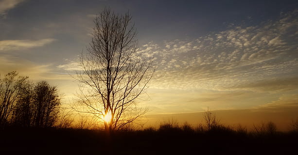 solnedgang, landskab, skyer, skønhed, himmel, baggrundslyset, oransje himmel, vinter, natur, silhuet, rolig scene, skønhed i naturen, ingen mennesker, ro, scenics - natur, sky - himmel, træ, plante, bare træ, ikke-urbane scene, miljø, jord, sollys, orange farve, idyllisk, sol, udendørs, 4K, CC0, offentligt domæne, royaltyfrie