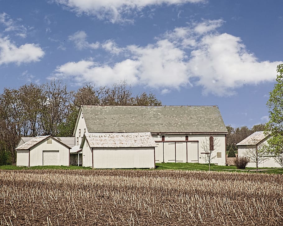 lade, rustik, staldene, ohio, digital kunst, landdistrikterne, naturskøn, Land, landskabet, landskab, skur, skure, gård, gårde, landbrug, landbrugs, stuehus, Champaign, region, americana, Foto, fotografi, struktur, strukturer, sturgell, william sturgell, bill sturgell, historisk, hjem indretning, bygninger, skyer, himmel, træ, træer, overskyet, ukrudt, champaign county, Urbana, bygget struktur, arkitektur, bygning udvendig, sky - himmel, bygning, hus, plante, dag, jord, Mark, natur, ingen mennesker, boligområde, landlige scene, landbrugsbygning, udendørs, kabine, 4K
