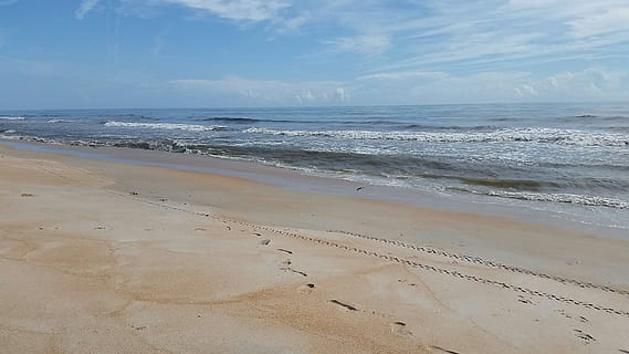 pláž, slapy, oceán, moře, voda, přistát, písek, nebe, krása v přírodě, horizont, scenics - příroda, horizont nad vodou, klid, Příroda, pohyb, klidné scény, nikdo, vlna, den, mrak - nebe, idylický, venku, 1080P, CC0, veřejná doména, bez autorských práv
