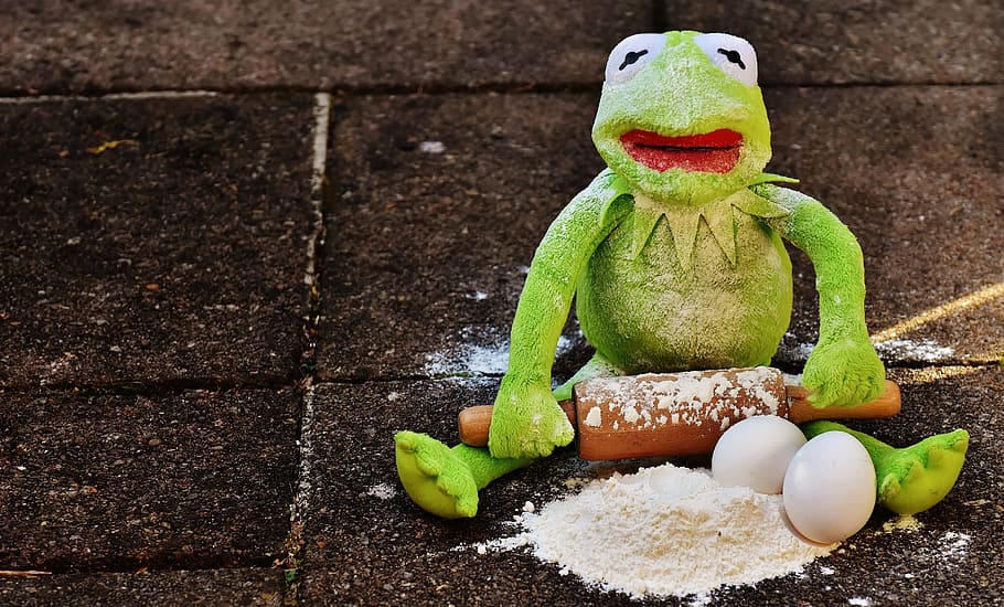 kermit, enfornar, rodet, ou, farina, ingredients, preparar-se, preparació, desenrotllar, granota, divertit, bonic, representació, menjar, cap gent, menjar i beguda, creativitat, color verd, representació humana, celebració, art i artesania, festa, primer pla, joguina, natura morta, menjar dolç, vacances - esdeveniment, vista d’angle alt, semblança masculina, 5K