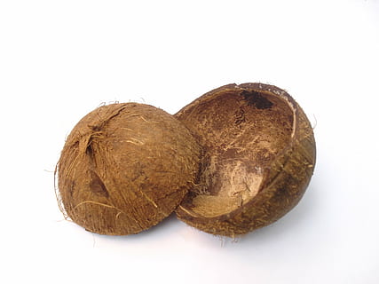 closca de coco, shell, coco, la meitat, meitats, tropical, palmell, nou, fons blanc, tir de l'estudi, alimentació saludable, tallar, menjar i beguda, a l'interior, menjar, benestar, marró, primer pla, natura morta, cap gent, frescor, fruita, còpia espai, sol objecte, closca de nou, nou - aliments, 2K, CC0, domini públic, lliure de regalies