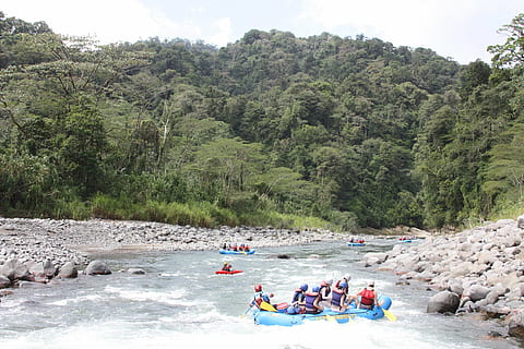 sejlsport, ende, roning, hurtig, sport, flod, vand, natur, eventyr, udendørs, mennesker, sommer, rafting, gruppe af mennesker, rigtige mennesker, træ, plante, menneskemængde, stor gruppe mennesker, herrer, transportmidler, fritidsaktivitet, dag, skønhed i naturen, livsstil, nautiske fartøj, ferie, oppustelige, samarbejde, flydende vand, 1080P, CC0, offentligt domæne, royaltyfrie