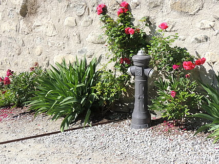 hydrant, květiny, zeď, oheň, rostlina, květ, kvetoucí rostlina, růst, krása v přírodě, Příroda, nikdo, den, svěžest, pevný, křehkost, zranitelnost, venku, zahrada, zelená barva, přední nebo zadní, nástěnný prvek, stavba, sochařství, kamenná zeď, květináč, 4K, CC0, veřejná doména, bez autorských práv