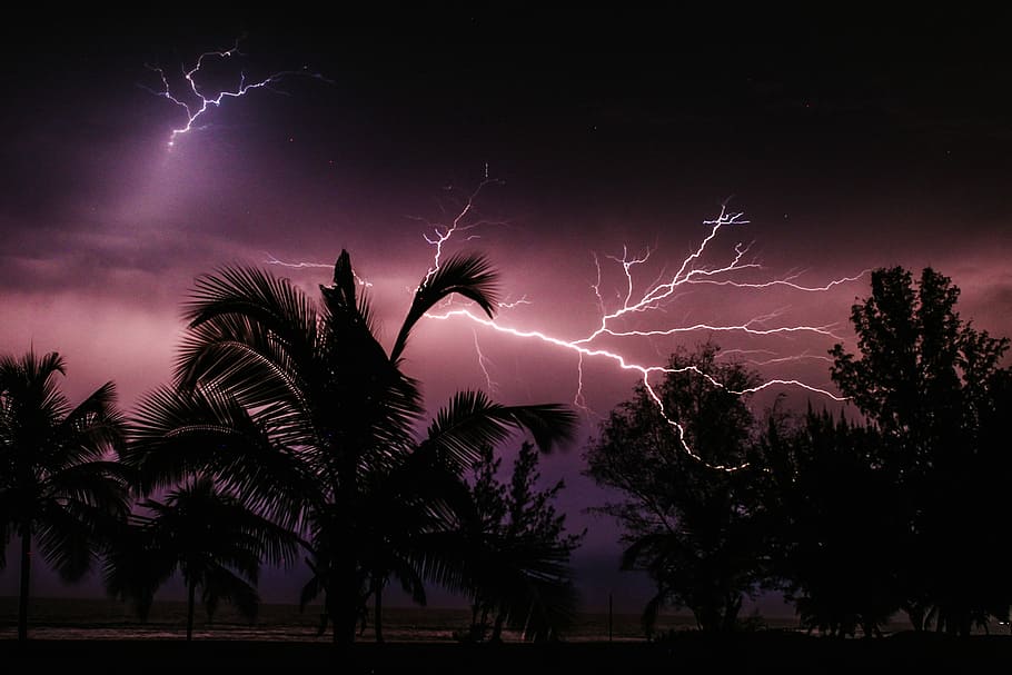 fotografia de lapse de temps, raig, llamps, cridaner, arbre, cel, tempesta, trons, nit, silueta, Àfrica, porpra, liberium, llampec, núvol - cel, poder a la natura, Palmera, planta, bellesa a la natura, clima tropical, vista d’angle baix, poder, naturalesa, cap gent, il·luminat, a l'aire lliure, focs artificials, 2K