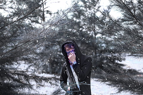 en gutt, kul, skog, vinter, kaldtemperatur, tre, snø, anlegg, én person, ung voksen, klær, varme klær, land, forfra, fritidsaktivitet, natur, snowing, unge kvinner, livsstil, unge menn, utendørs, nåletre, furutre, 5K, CC0, offentlig domene, opphavsrett gratis