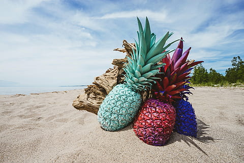 pineapples, brown, driftwood, sand, seashore, daytime, pineapple, dessert, appetizer, fruit, juice, crop, red, green, blue, clouds, sky, beach, food and drink, healthy eating, no people, sea, freshness, food, land, water, tropical fruit, nature, cloud - sky, day, beauty in nature, wellbeing, horizon over water, 5K, CC0, public domain, royalty free