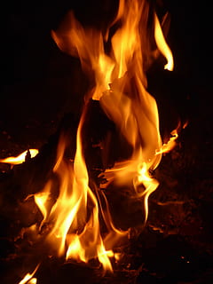 fuoco, fiamme, firepit, splendore, legna, marca, attizzare, calore, bruciore rituale, pubblicazione, fiamma, ardente, calore - temperatura, fuoco - fenomeno naturale, colore arancione, avvicinamento, raggiante, falò, notte, movimento, natura, nessuno, comunicazione, legno - materiale, movimento sfocato, lunga esposizione, segnale di pericolo, giallo, cartello, all'aperto, fuoco di bivacco, inferno, sfondo nero, 4K, CC0, dominio pubblico, privo di copyright