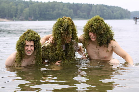 tres, persona, cos, aigua, verd, herbes, caps, silur, algues, barba, divertit, diversió, herba, cap de setmana, riure, home, llac, dia, naturalesa, davant del mar, mascles, retrat, sense camisa, homes, activitat d'oci, planta, nedar, gent, nen, grup de persones, persones reals, arbre, a l'aire lliure, adolescent, 4K, CC0, domini públic, lliure de regalies