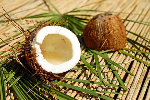 mengiris batok kelapa, kelapa, kacang, kulit, coklat, bubur, eksotik, makanan, makanan dan minuman, makan sehat, kesegaran, tidak ada orang, kesejahteraan, warna hijau, merapatkan, menanam, alam, tampilan sudut tinggi, buah tropis, buah, masih hidup, fokus pada latar depan, hari, daun, di luar rumah, 4K, CC0, domain publik, bebas royalti