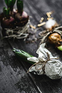 making, little, ornamental, seedling, small, jar, Woman, plant, decoration, ornament, planting, crafting, adornment, food, wood - Material, close-up, freshness, vegetable, nature, organic, spice, rustic, garlic, healthy Eating, food and drink, indoors, no people, table, studio shot, still life, high angle view, wellbeing, plant part, selective focus, leaf, tied up, focus on foreground, leaves, 4K