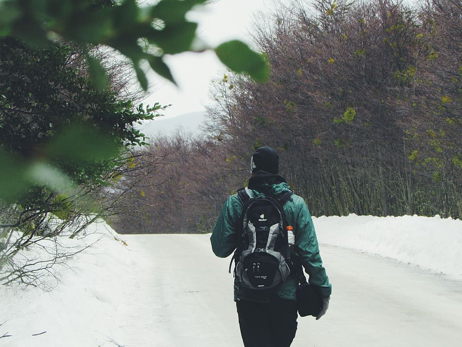 superficiale, fotografia a fuoco, persona, verde, giacca invernale, a piedi, la neve, coperto, campo, ore notturne, messa a fuoco superficiale, fotografia, giacca, camminando, inverno, all'aperto, natura, freddo - temperatura, persone, uomini, una persona, retrovisore, militare, temperatura fredda, soldato dell'esercito, albero, pianta, persone reali, capi di abbigliamento, giorno, vestiti caldi, stili di vita, attività, bellezza nella natura, attività di svago, 4K