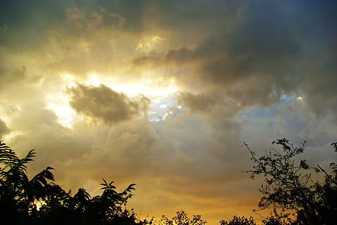 cielo, luci, nuvole, tempesta, grigio, sole, sera, estate, alberi, luce e ombra, nuvola - cielo, albero, bellezza nella natura, scenics - natura, la tranquillità, pianta, tramonto, natura, nessuno, scena tranquilla, silhouette, Inquadratura dal basso, luce del sole, raggio di sole, cielo drammatico, idilliaco, all'aperto, retroilluminato, cima dell'albero, luminosa, 4K, CC0, dominio pubblico, privo di copyright