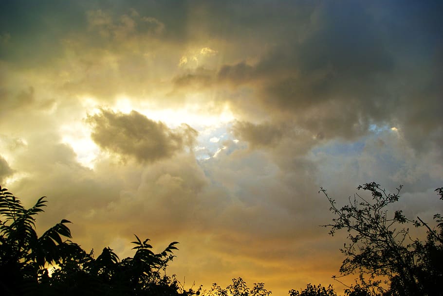 cielo, luci, nuvole, tempesta, grigio, sole, sera, estate, alberi, luce e ombra, nuvola - cielo, albero, bellezza nella natura, scenics - natura, la tranquillità, pianta, tramonto, natura, nessuno, scena tranquilla, silhouette, Inquadratura dal basso, luce del sole, raggio di sole, cielo drammatico, idilliaco, all'aperto, retroilluminato, cima dell'albero, luminosa, 4K