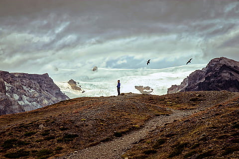 person, stående, klint, dagtimerne, mand, bjerg, fugl, Sky, klippe, sti, spore, robust, oven, overskyet, sne, træ, udendørs, sky - himmel, himmel, solid, rock-objekt, fritidsaktivitet, skønhed i naturen, scenics - natur, rigtige mennesker, natur, jord, livsstil, mennesker, rock formation, landskab, herrer, rolig scene, 5K, CC0, offentligt domæne, royaltyfrie