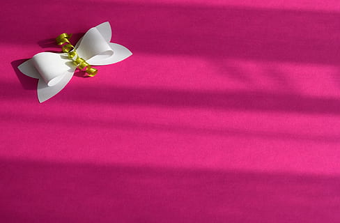 branco, arco, Rosa, têxtil, fundo, laço, presente, decoração, loop de presente, decoração de papel, cor, flor, frescura, tiro do estúdio, copie o espaço, fundo colorido, pétala, planta com flores, ninguém, plantar, cor rosa, beleza na natureza, ainda vida, fragilidade, cor branca, vermelho, fechar-se, natureza, vulnerabilidade, dentro de casa, inflorescência, cabeça de flor, visão de alto ângulo, roxa, 5K, CC0, domínio público, royalty free