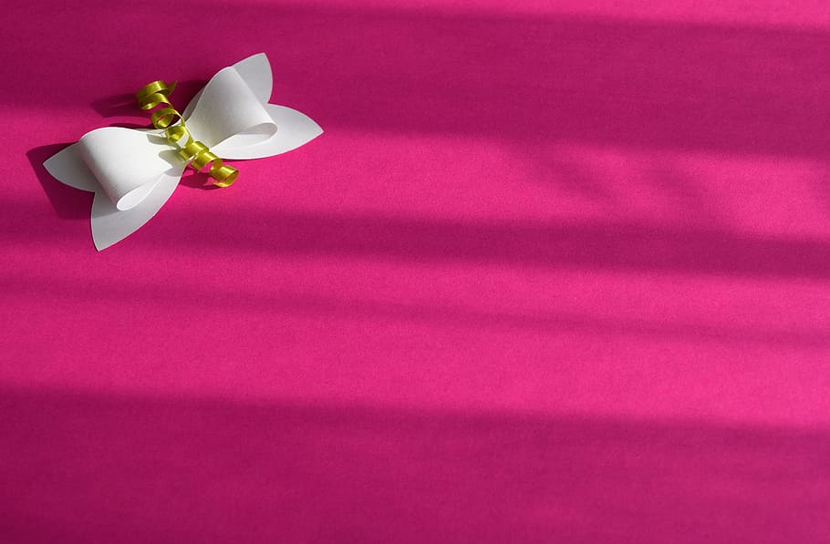 blanc, arc, rosa, tèxtil, fons, bucle, regal, decoració, bucle de regal, decoració de paper, color, flor, frescor, tir de l'estudi, còpia espai, fons de colors, pètal, planta amb flors, cap gent, planta, color rosa, bellesa a la natura, natura morta, fragilitat, Color blanc, vermell, primer pla, naturalesa, vulnerabilitat, a l'interior, inflorescència, cap de flor, vista d’angle alt, porpra, 5K