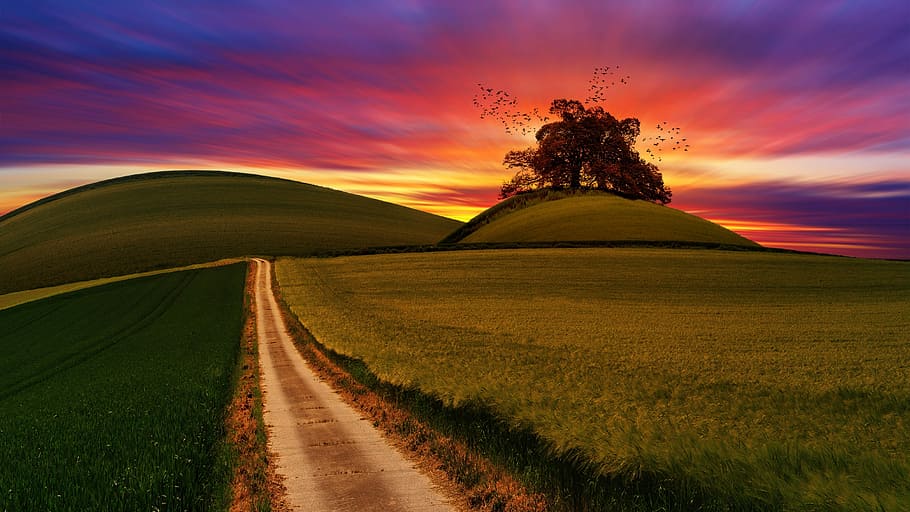 herba, muntanya, cel, arbre, turó, posta de sol, naturalesa, panorama, paisatge, viatjar, composició, carretera, humor, Camí, lluny, senderisme, camí migratori, romàntic, camp, llum de fons, idil·li, morgenstimmung, romanç, herbes, cereals, medi ambient, núvol - cel, bellesa a la natura, escenics - natura, terra, planta, cel dramàtic, escena rural, cap gent, tranquil·litat, escena tranquil·la, sol, a l'aire lliure, paisatge dramàtic, 4K