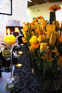 Esstisch, Geschirr, retro, Glas, die Tasse, die Zeremonie, Deckchen, Veranstaltung, Essen, Hochzeit, Dekoration, transparent, Kerzen, Gelb, Blumen, gelbe Blumen, Narzissen, Blume, blühende Pflanze, Frische, Pflanze, Verletzlichkeit, beleuchtet, Zerbrechlichkeit, Kerze, Vase, Natur, Tabelle, drinnen, Blütenkopf, keine Leute, Fokus auf den Vordergrund, Schönheit in der Natur, Geschäft, Anordnung, Blütenblatt, Blumenschmuck, Strauß, elektrische Lampe, Blumenstrauß, 4K, CC0, gemeinfrei, lizenzfrei