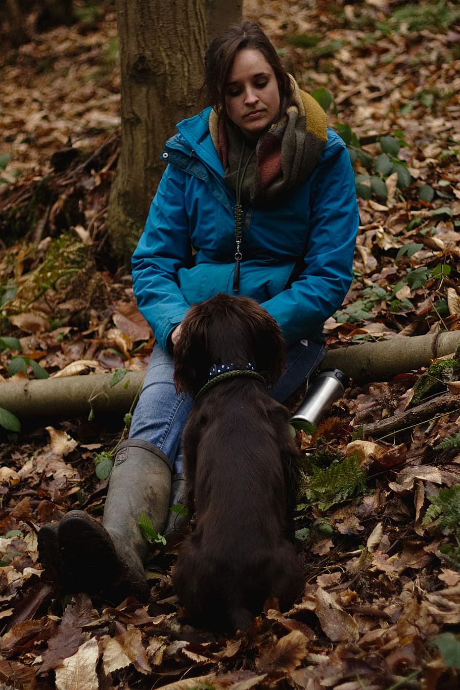 donna, indossare, giacca a vento, di fronte, cane, giacca, all'aperto, autunno, natura, persone, donne, animali domestici, femmine, foglia, una persona, carina, solo una donna, solo donne, solo adulti, canino, domestico, un animale, mammifero, terra, persone reali, temi animali, vertebrato, animale, attività di svago, stili di vita, parte vegetale, foresta, giovane adulto, lunghezza intera, proprietario di animali domestici, modificare, le foglie, 2K