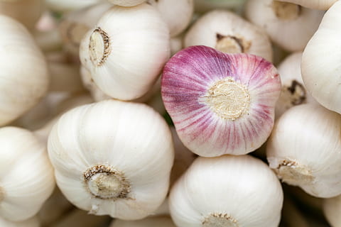 blanco, bulbo de ajo mucho, aromático, fondo, bulbo, comida, Fresco, ajo, gastrónomo, cabeza, ingrediente, planta, crudo, Condimento, oler, vegetal, comida y bebida, frescura, bienestar, cabeza de ajo, alimentación saludable, de cerca, especia, cebolla, nadie, grupo de objetos, el color blanco, orgánico, alimentos crudos, adentro, grupo mediano de objetos, foto de estudio, diente de ajo, 5K, CC0, dominio público, libre de derechos
