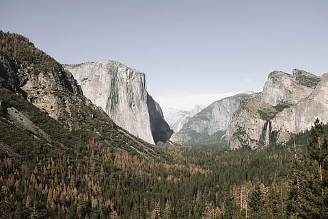 verde, alberi, montagne, montagna, circondato, fotografia di paesaggio, valle, foglia verde, foresta, nube, roccioso, natura, Parco Nazionale Yosemite, Paesaggi, paesaggio, roccia - oggetto, Parco Nazionale, all'aperto, posizioni di viaggio, Stati Uniti d'America, nessuno, terreno estremo, catena montuosa, scogliera, immagine a colori, yosemite valley, pianta, albero, bellezza nella natura, terra, ambiente, cielo, scenics - natura, Pino, albero di conifere, scena tranquilla, roccia, la tranquillità, scena non urbana, bosco di pini, picco di montagna, formazione, 4K, CC0, dominio pubblico, privo di copyright