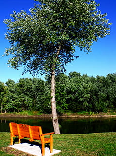bænk, træ, wabash, flod, træ-, Wabash, flod, parkere, udendørs, græs, sæde, naturlig, løv, ensomhed, natur, sø, sommer, grøn farve, rolig scene, lempelse, vand, ingen mennesker, park - mand skabt plads, træ - materiale, landskab, scenics, stol, Dam, landlige scene, plante, vækst, dag, himmel, skønhed i naturen, jord, Mark, sollys, ro, fravær, park bænk, 2K, CC0, offentligt domæne, royaltyfrie