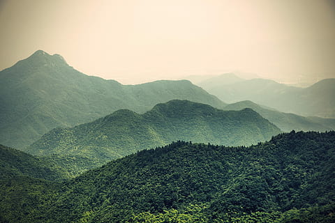 alberi verdi, verde, alberi, natura, montagna, collina, paesaggio, Paesaggi, all'aperto, scena rurale, colore verde, albero, Asia, nessuno, nebbia, estate, cielo, foresta, catena montuosa, scenics - natura, ambiente, bellezza nella natura, terra, la tranquillità, scena tranquilla, pianta, scena non urbana, idilliaco, picco di montagna, bosco, 1080P, CC0, dominio pubblico, privo di copyright
