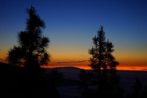 západ slunce, dosvit, mraky, nebe, selva námořní, tenerife, Kanárské ostrovy, stromy, koruny stromů, ostrov, la palma, strom, silueta, Příroda, scén, nikdo, scenics - příroda, klidné scény, klid, krása v přírodě, rostlina, oranžová barva, idylický, mimoměstské scény, venku, voda, kopie prostor, krajina, životní prostředí, přistát, 5K, CC0, veřejná doména, bez autorských práv