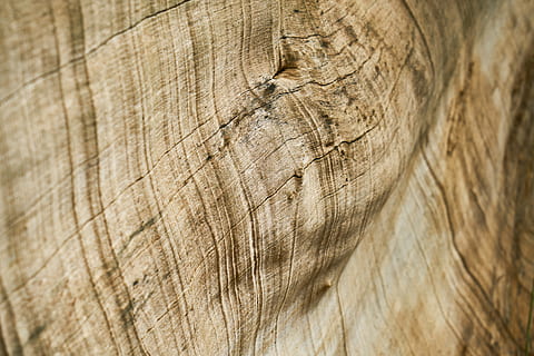 placa de madeira marrom, abstrato, Castanho, árvore, madeira, padronizar, textura, origens, velho, fundo, placas de fibra de madeira, ninguém, copie o espaço, parquete, horizontal, mesa, fotos detalhadas, macro, detalhe, pavimento, decoração, motivo, perspectiva, amarelo, mobília, natural, imagem colorida, lindo, padrão abstrato, fotografia, fechar-se, foco seletivo, As fotos, cor, papel de parede, madeira - material, natureza, texturizado, prancha, material, quadro completo, rude, rachado, dia, elefante, temas animais, ao ar livre, close-up extremo, animal, grão de madeira, anel de árvore, 5K, CC0, domínio público, royalty free