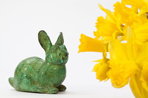 Osterhase, Ostern, Hase, Skulptur, Zoll, Brauch, Osterei, bunt, Bronze-, Besetzung, Patina, Zahl, Narzisse, Grün, Gelb, Orange, Ohr, Hasenohr, Osterfigur, süß, liebend, scheinen, blühende Pflanze, Blume, Studioaufnahme, drinnen, Pflanze, grüne Farbe, Frische, keine Leute, Natur, Nahansicht, Tierdarstellung, weißer Hintergrund, Schönheit in der Natur, Blütenkopf, Darstellung, Kunst und Handwerk, Vase, 4K, CC0, gemeinfrei, lizenzfrei