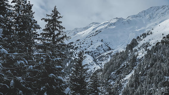 Foto, Baum, Berg, beschichtet, Schnee, bedeckt, Bäume, Wald, Wolke, Grat, Himmel, Natur, Abenteuer, entdecken, erkunden, Reise, Landschaftsfotografie, launisch, landschaftlich reizvolle Landschaft, kalte Temperatur, Winter, Schönheit in der Natur, Szenen - Natur, Umgebung, Landschaft, Pflanze, schneebedeckter Berg, wolke - himmel, keine Leute, Land, Gebirge, Nadelbaum, draußen, Kiefer, Kiefernwald, 5K, CC0, gemeinfrei, lizenzfrei