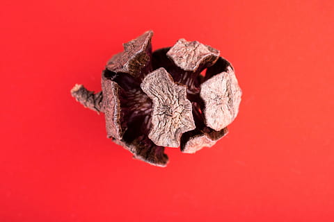 pine cone, macro, needles, forest, cones, scratchy, closeup, red background, round, brittle, crack, cracked, patterns, nature, red, studio shot, colored background, food and drink, indoors, food, no people, close-up, cut out, creativity, black color, healthy eating, simplicity, fruit, single object, copy space, shape, mineral, natural condition, 4K, CC0, public domain, royalty free