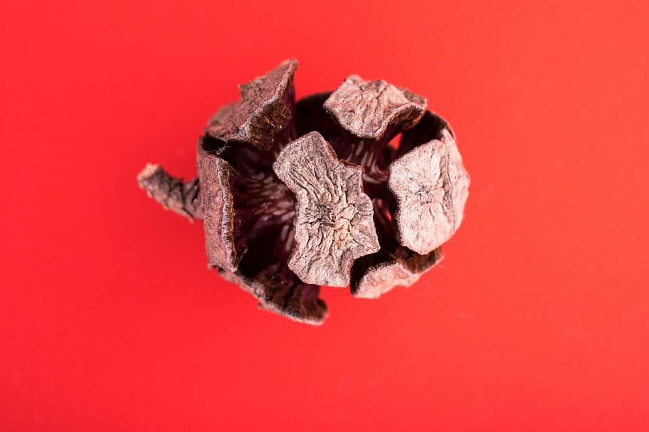 pinya de pi, macro, agulles, bosc, cons, rascado, primer pla, fons vermell, rodó, fràgil, crack, esquerdat, patrons, naturalesa, vermell, tir de l'estudi, fons de colors, menjar i beguda, a l'interior, menjar, cap gent, tallar, creativitat, color negre, alimentació saludable, senzillesa, fruita, sol objecte, còpia espai, forma, mineral, condició natural, 4K