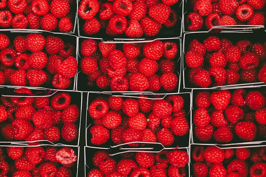 munt de gerds, gerds en envasos, gerds, baia, fruita, fresc, vermell, en caixa, envasat, dolç, saludable, menjar, deliciós, primer pla, detall, menjar local, mercat, fruites de baies, alimentació saludable, benestar, menjar i beguda, frescor, gran grup d'objectes, maduixa, marc complet, abundància, a la venda, cap gent, contenidor, fons, natura morta, Caixa, directament a sobre, venda al detall, caixa-contenidor, venda, madur, 5K