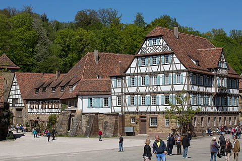 travatura, Medioevo, medievale, monastero, Maulbronn, leicester abbey, casa, architettura, struttura costruita, esterno dell'edificio, costruzione, gruppo di persone, albero, città, persone reali, uomini, persone, pianta, a piedi, folla, natura, storia, il passato, donne, strada, adulto, visita, 5K, CC0, dominio pubblico, privo di copyright