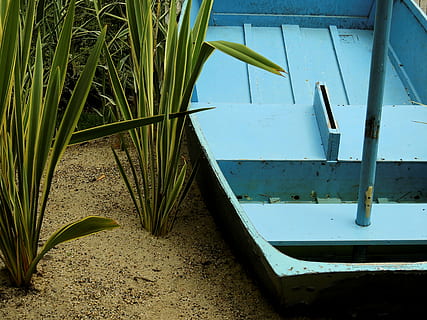 Stiefel, Schiff, Schilf, Gras, Sand, Strand, Segelboot, alt, Wasser, Natur, keine Leute, Pflanze, Tag, Wasserfahrzeug, Transportmittel, Transport, Wachstum, draußen, Meer, festgemacht, grüne Farbe, Land, Sonnenlicht, Pflanzenteil, Ruhe, 4K, CC0, gemeinfrei, lizenzfrei