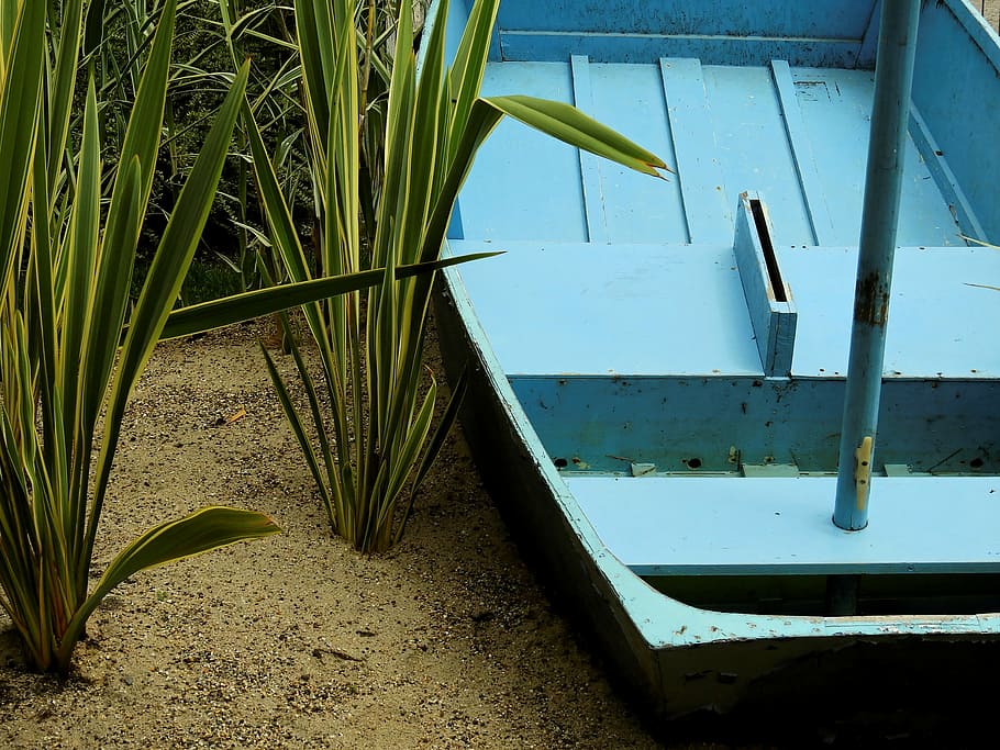 Stiefel, Schiff, Schilf, Gras, Sand, Strand, Segelboot, alt, Wasser, Natur, keine Leute, Pflanze, Tag, Wasserfahrzeug, Transportmittel, Transport, Wachstum, draußen, Meer, festgemacht, grüne Farbe, Land, Sonnenlicht, Pflanzenteil, Ruhe, 4K