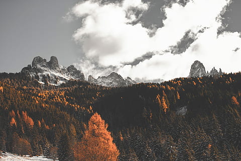 braun, blätterte, Baumlos, grau, Himmel, Landschaftsfotografie, Kiefern, Berg, Felsen, Bäume, Wolken, Schnee, Herbst, fallen, Winter, carezza, Italien, Südtirol, Dolomit, Holz, Baum, Schönheit in der Natur, Szenen - Natur, wolke - himmel, Nicht-städtische Szene, Natur, Umgebung, ruhige Szene, keine Leute, Pflanze, Landschaft, Ruhe, Rock, Land, Fernbedienung, Tag, idyllisch, Formation, Gipfel, Nadelbaum, 5K, CC0, gemeinfrei, lizenzfrei