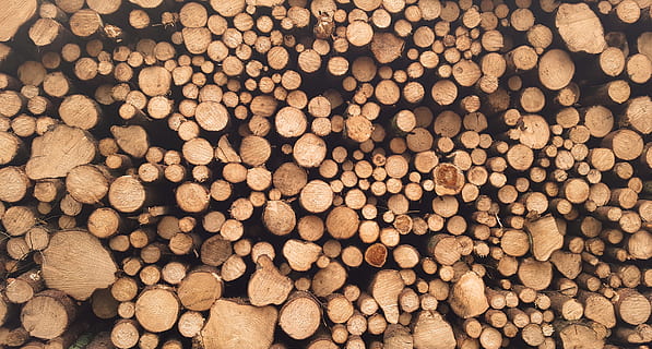 Marrone, log lotto, giorno, mucchio, tronchi di legno, impilati, ceppo, legna, pila, legname, legno - materiale, cerchio, sfondi, legna da ardere, modello, avvicinamento, nessuno, catasta di legna, industria del legname, grande gruppo di oggetti, albero, abbondanza, foresta, la deforestazione, fotogramma intero, combustibile e produzione di energia, problemi ambientali, natura, combustibile fossile, all'aperto, 4K, CC0, dominio pubblico, privo di copyright