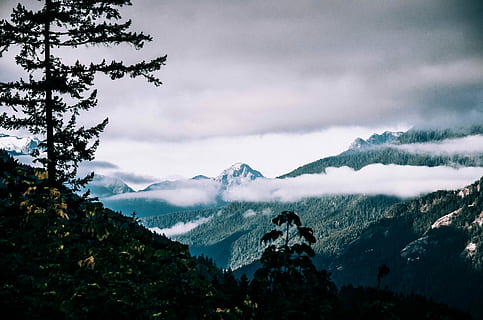 landscape photography, mountains, trees, fogs, mountain under clouds, mountain, cloud, sky, tree, woodland, cloud - sky, beauty in nature, scenics - nature, plant, tranquil scene, tranquility, mountain range, nature, no people, environment, non-urban scene, landscape, idyllic, outdoors, growth, day, mountain peak, snowcapped mountain, 4K, CC0, public domain, royalty free