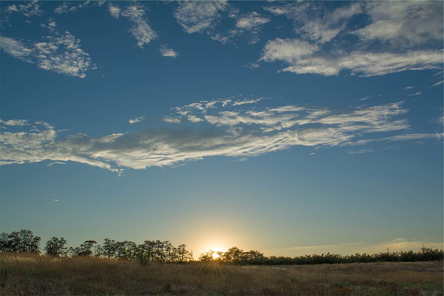 foto de paisatge, arbres, daurat, hores, paisatge, fotografia, sabana, posta de sol, blau, cel, núvols, herba, camps, rural, país, naturalesa, escenics, escena tranquil·la, tranquil·litat, a l'aire lliure, cap gent, llum solar, bellesa a la natura, núvol - cel, escenics - natura, medi ambient, planta, arbre, sol, terra, idíl·lic, raig de sol, escena no urbana, flare de la lent, brillant, 1080P