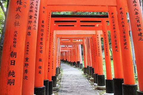 tæt på, Foto, rød, sort, beton, stolpe, vej, sti, tunnel, mønster, grus, torii, fushimi inari, helligdom, Kyoto, japan, rejse, lamper, arkitektur, bygget struktur, meddelelse, manuskript, religion, tekst, retning, rejsemål, sted for tilbedelse, vejen frem, orange farve, tro, dag, ingen mennesker, spiritualitet, ikke-vestlige script, arkitektoniske kolonne, faldende perspektiv, udendørs, 5K, CC0, offentligt domæne, royaltyfrie