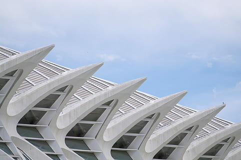 paisatge, arquitectònic, edifici, edifici de formigó blanc, apuntat, agut, concret, sostre, finestra, estructura, arquitectura, blanc, blau, cel, urbà, calatrava, parc, valencium, Color blanc, cap gent, naturalesa, estructura construïda, dia, núvol - cel, cadira, exterior de l'edifici, a l'aire lliure, seient, vista d’angle baix, llum solar, modern, destinacions de viatge, viatjar, material de fusta, turisme, balcó, luxe, 1080P, CC0, domini públic, lliure de regalies