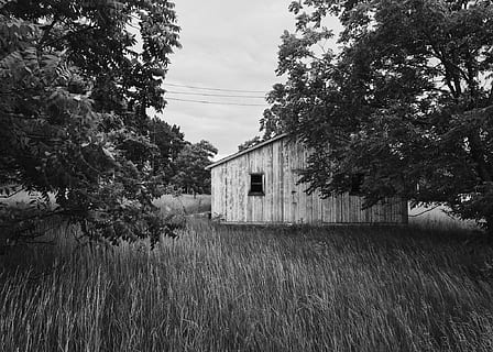 abandonado, construindo, estrutura, assustador, abandonado, construção, decair, vintage, planta de cereais, casa, ninguém, estrutura construída, exterior do edifício, ao ar livre, plantar, árvore, arquitetura, céu, natureza, terra, campo, crescimento, dia, grama, velho, panorama, tranquilidade, 1080P, CC0, domínio público, royalty free