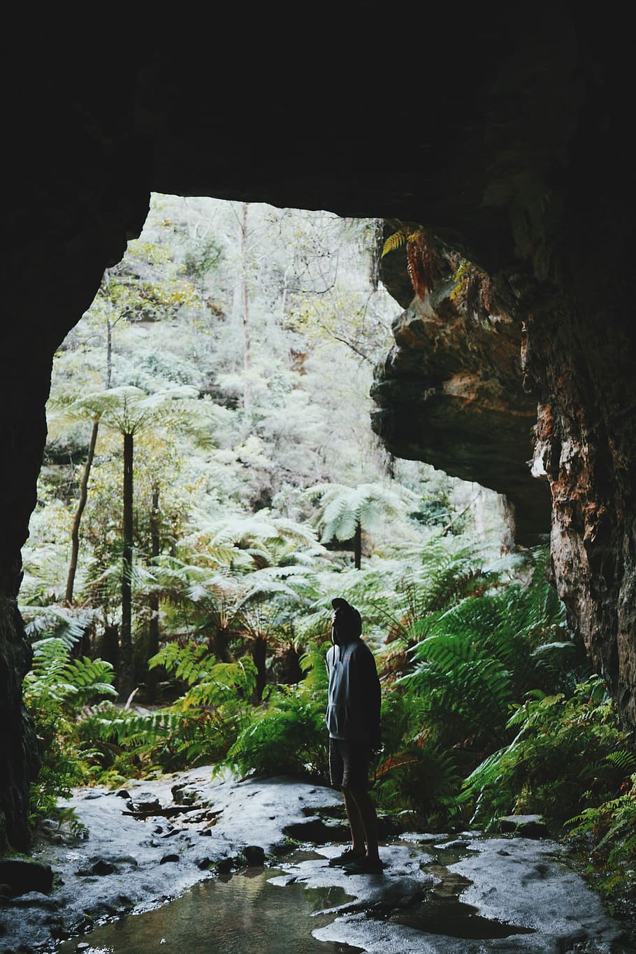 home, de peu, entrada de la cova, explorar, australium, bosc, cova, persones reals, una persona, rock, sòlid, rock - object, vista del darrere, activitat d'oci, estils de vida, bellesa a la natura, formació de roca, naturalesa, dia, homes, aigua, longitud completa, escena no urbana, a l'aire lliure, aigua que flueix, 5K