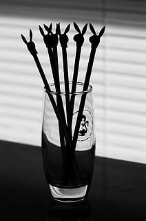 playboy, bar, barer, drikkevarer, ware, bar ware, bartender, parti, blandet, mixer, tresserne, halvfjerdserne, retro, indendørs, drikkeglas, ingen mennesker, drikke, blæk, shot glas, bord, fokus på forgrunden, glas - materiale, gennemsigtig, forfriskning, tæt på, glas, stilleben, vase, mad og drikke, husholdningsudstyr, friskhed, natur, plante, beholder, 4K, CC0, offentligt domæne, royaltyfrie