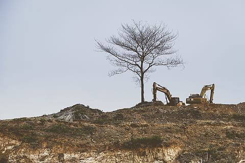 bar, træ, ved siden af, gul, gravemaskine, Brun, bjerg, dagtimerne, konstruktion, udendørs, grave, digger, natur, landskab, himmel, scenics, bare træ, dag, ingen mennesker, plante, jord, skyfri himmel, Mark, miljø, arkitektur, afdeling, ikke-urbane scene, ro, træstamme, fjern, 5K, CC0, offentligt domæne, royaltyfrie