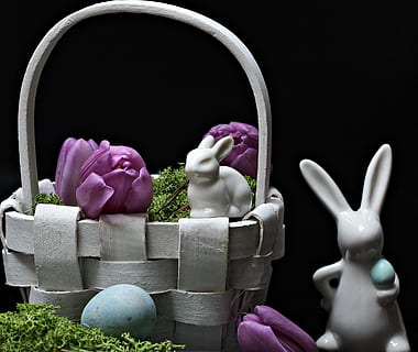 llebre, conill de Pasqua, Pasqua, primavera, figura, tulipes, porpra, tulipes morades, flors morades, cistella, osterkorb, Pasqua körbchen, decoració, ceràmica, decoració de pasqua, molsa, ou, blau, ous blaus, dekoeier, deco, Feliç Pasqua, salutació de pasqua, tema de pasqua, costums, invitació, estat de Pasqua, salutacions de pasqua, tradició, consum de primavera, mapa, targeta de felicitació, postal, salutació, flors, representació, celebració, representació animal, cap gent, color rosa, primer pla, festa, natura morta, a l'interior, art i artesania, naturalesa, tir de l'estudi, planta, planta amb flors, conill - animal, flor, fons negre, 2K, CC0, domini públic, lliure de regalies
